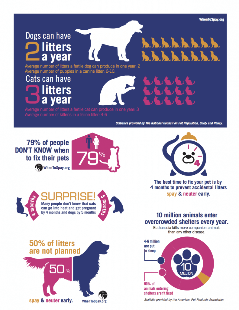 poster promoting spaying and neutering