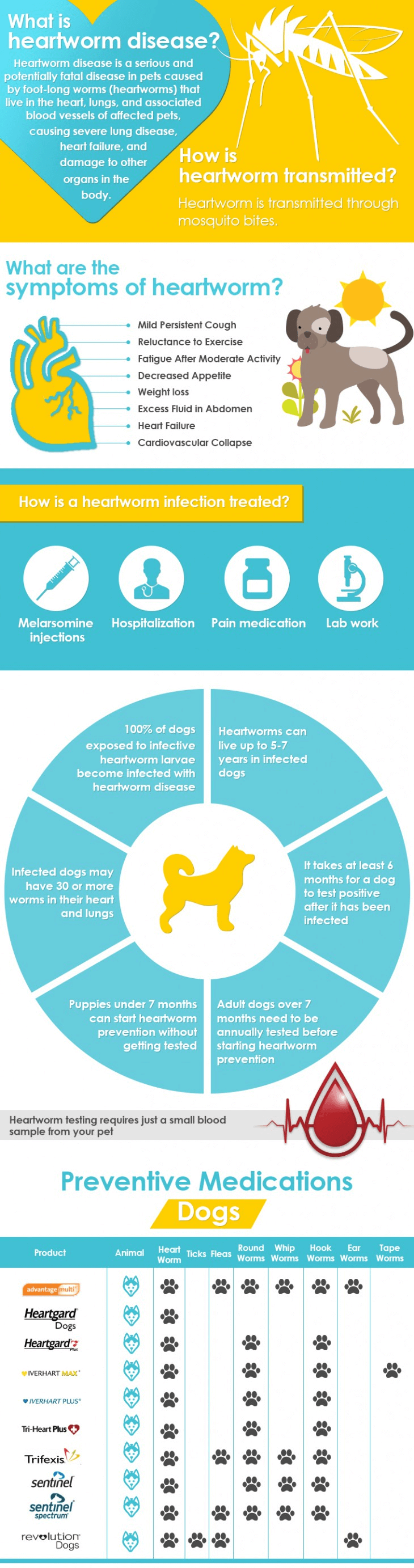 flyer explaining what heartworm is