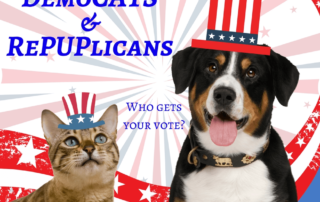 dog and cat with democrat and republican hats