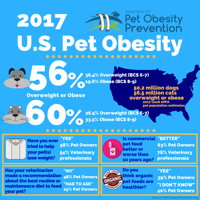 2017 Pet Obesity Infographic