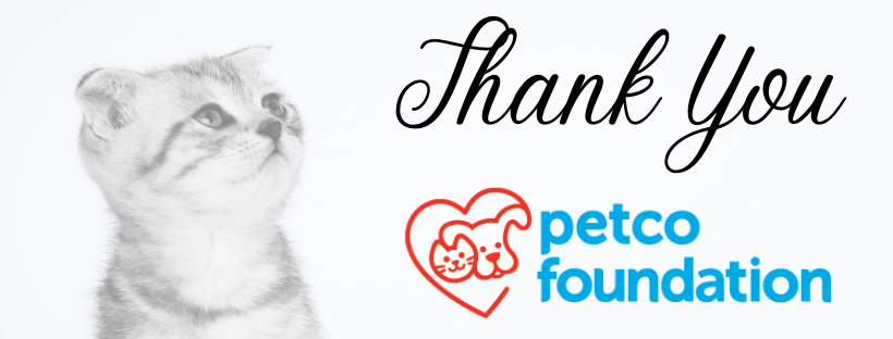 thank you petco foundation