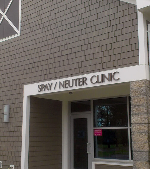 spay and neuter clinic