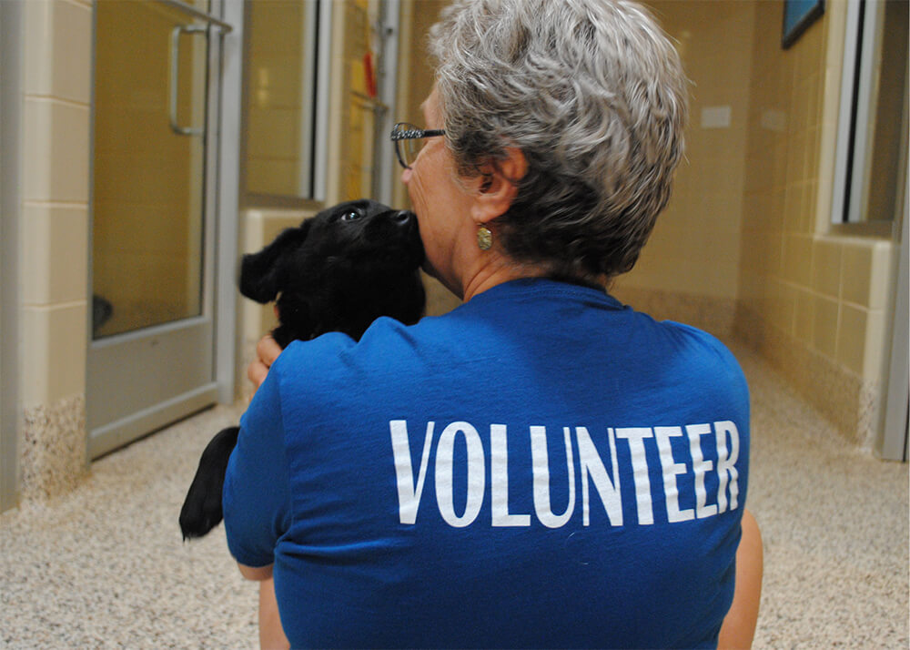 volunteer with dog