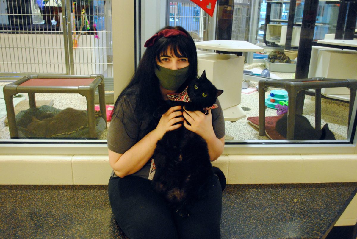 A Day in the Life of a Shelter Animal Caretaker - SPCA Albrecht