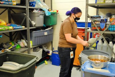 A Day in the Life of a Shelter Animal Caretaker - SPCA Albrecht
