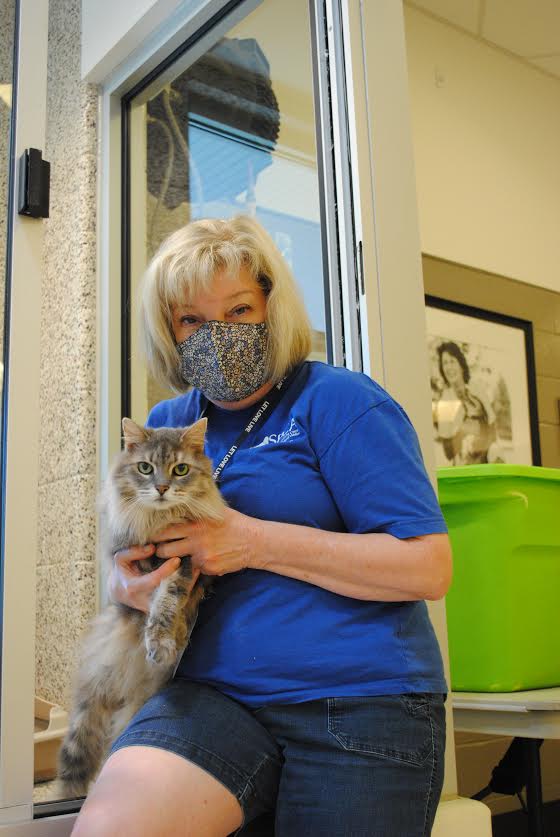 A Day In The Life) Volunteering in an Animal Shelter - SPCA Albrecht