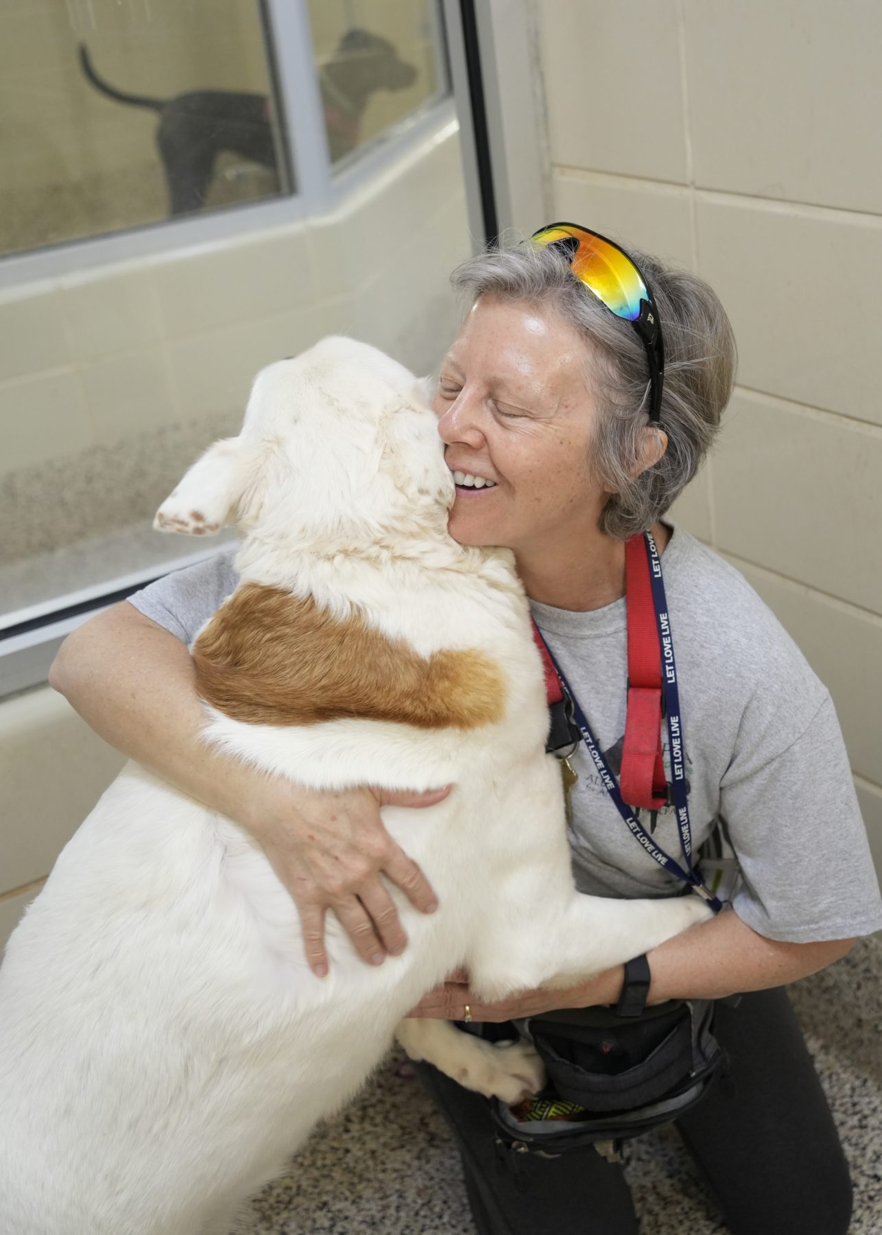 SPCA Volunteers Turn Compassion Into Action - SPCA Albrecht