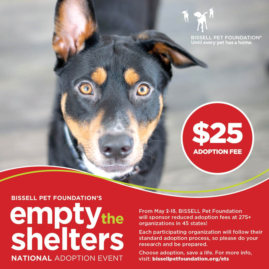 BISSELL Pet Foundation's Empty the Shelters - SPCA Albrecht
