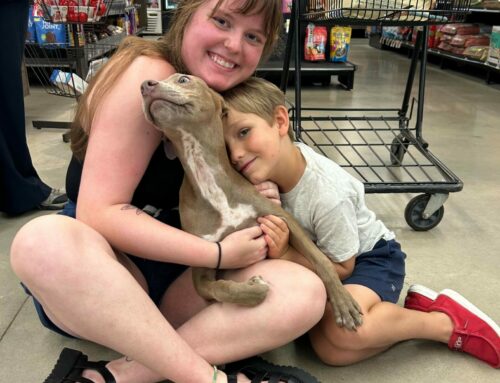 Record-Breaking Adoptions at SPCA Albrecht Center during Statewide ‘Pick Me! SC’ Event