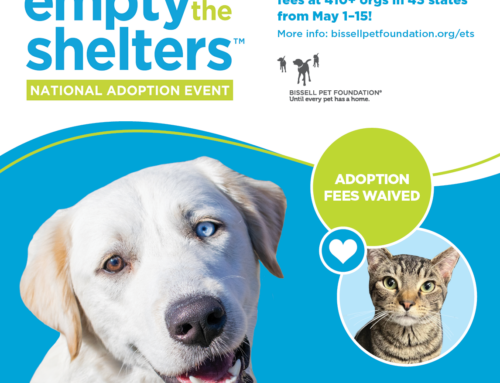SPCA Albrecht Center Joins Bissell Pet Foundation’s Empty the Shelters Event