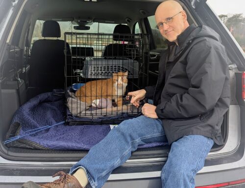 Going the Extra Miles for Homeless Pets
