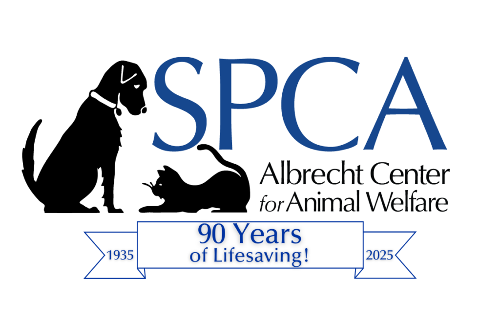 how-modern-animal-sheltering-is-saving-lives-one-pet-at-a-time-spca