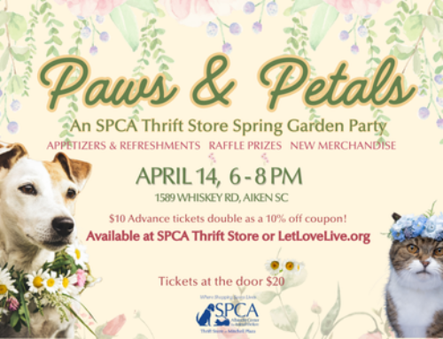 Paws & Petals: A Thrift Store Party in Full Bloom!