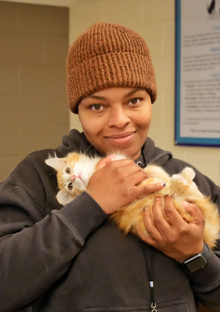 How Modern Animal Sheltering is Saving Lives, One Pet at a Time - SPCA ...