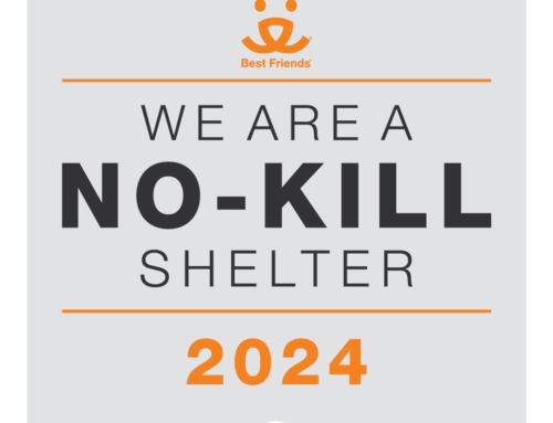 Still No-Kill, and Now Officially Recognized