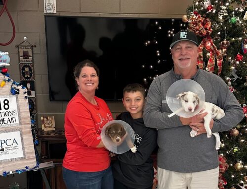 Gifting Pets for the Holidays