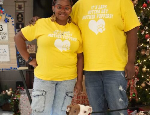 Five Years Later, Lars Is Finally Home