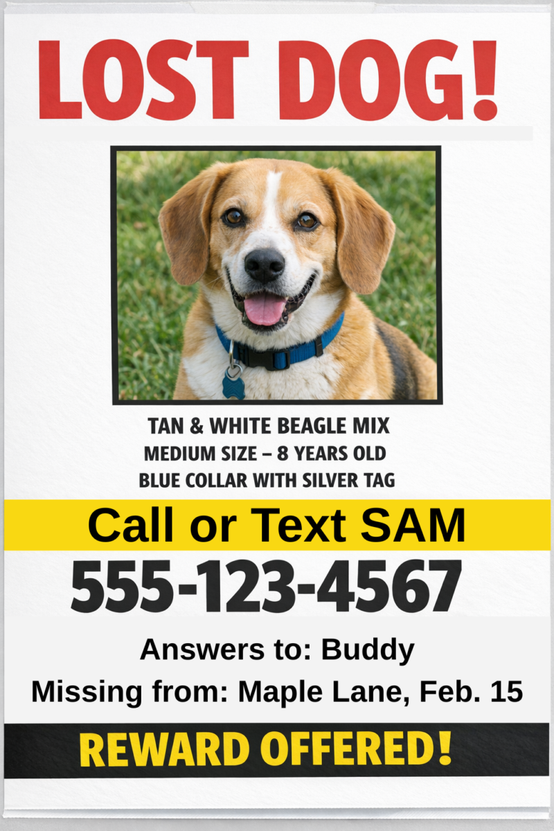 Lost Pet Example How to Increase the Odds of Finding Your Lost Pet - SPCA Albrecht