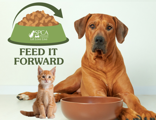 Feed it Forward to Help Pet Owners in Need