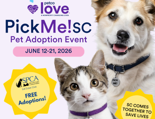 SPCA Albrecht Center Joins Pick Me! SC Adoption Event June 12-20