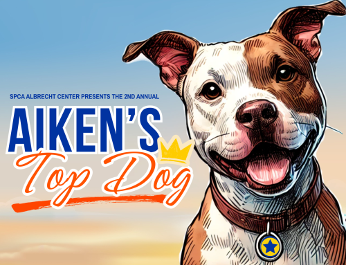 Community Events are a Fun Way to Support Homeless Pets