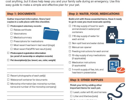 National Preparedness Month Plans for Pets